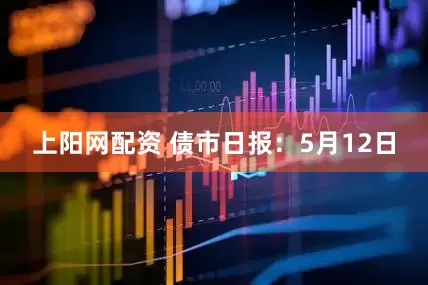上阳网配资 债市日报：5月12日