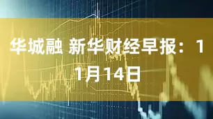 华城融 新华财经早报：11月14日