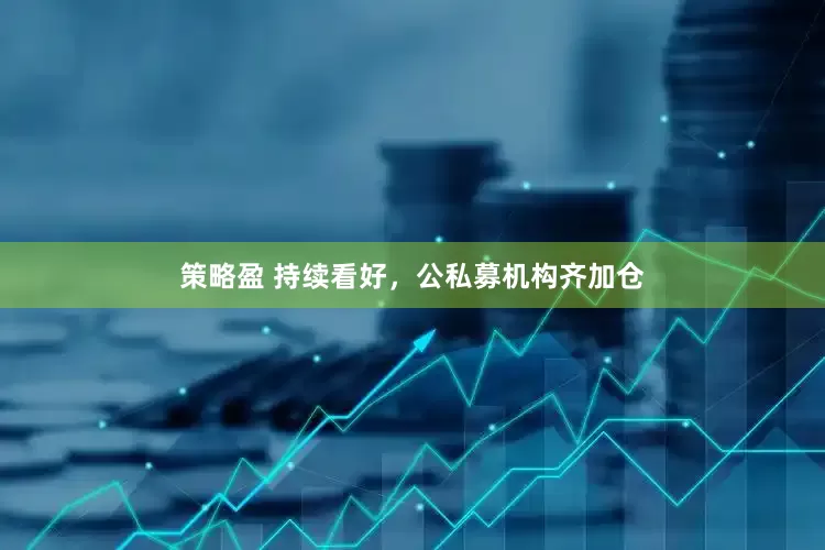 策略盈 持续看好，公私募机构齐加仓